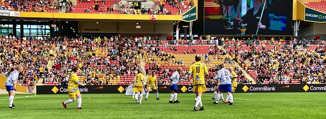 卓越的表現 卓越的表現