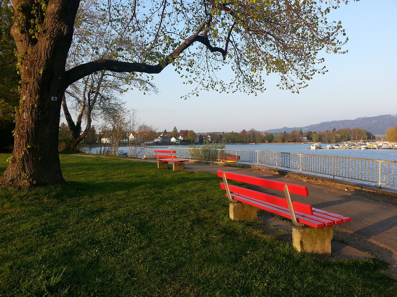 标准的产品 标准的产品