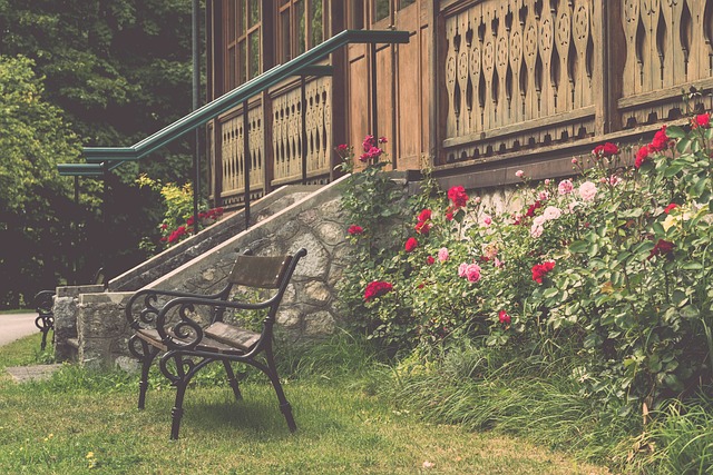 但面对西部 但面对西部