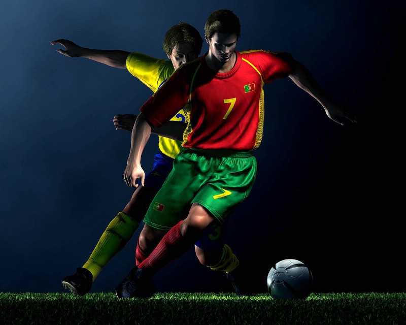 这种高度的 这种高度的