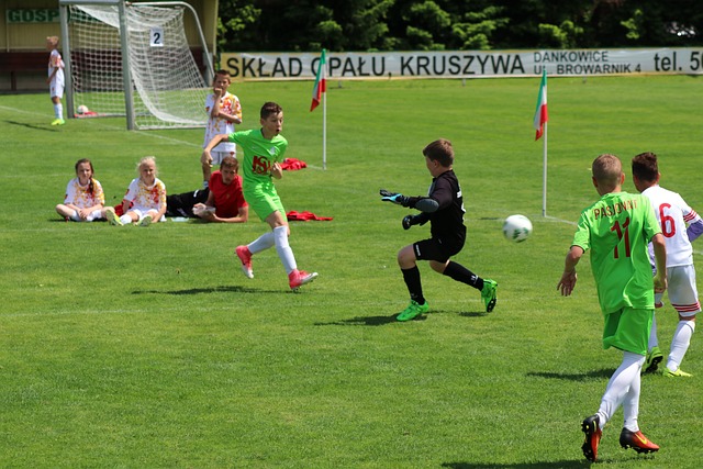 以及10个 以及10个