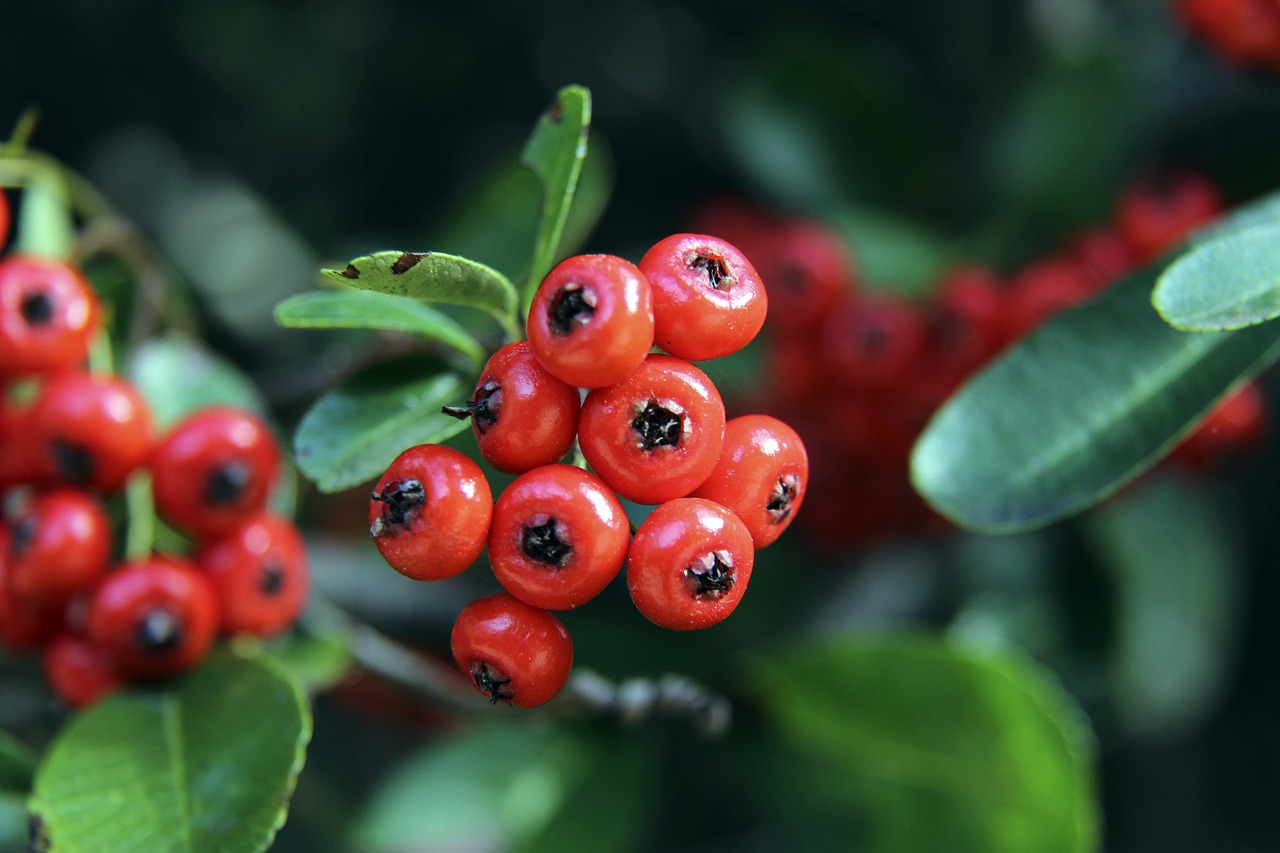 绿色场馆 绿色场馆